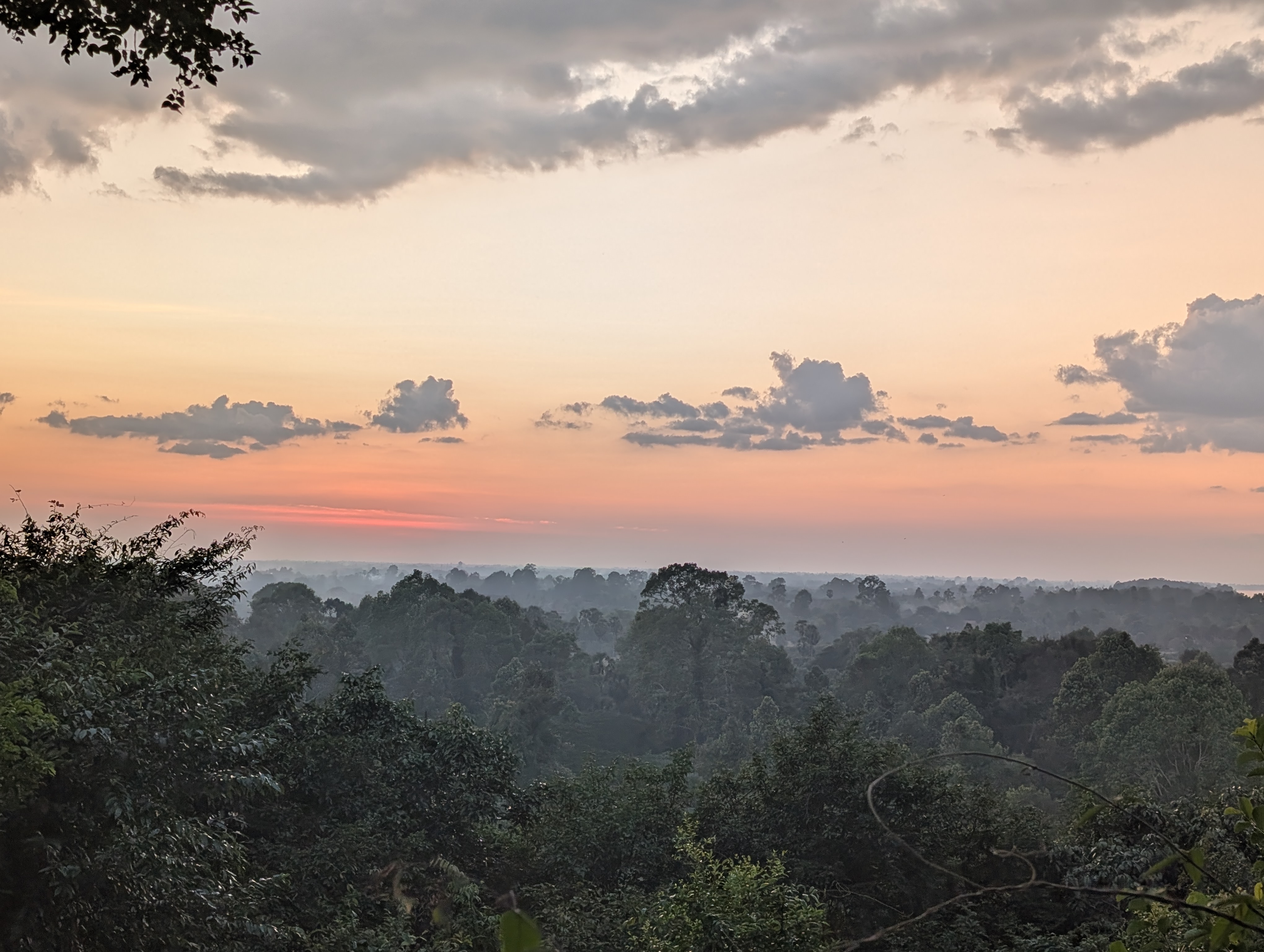Misy Jungles Panorama