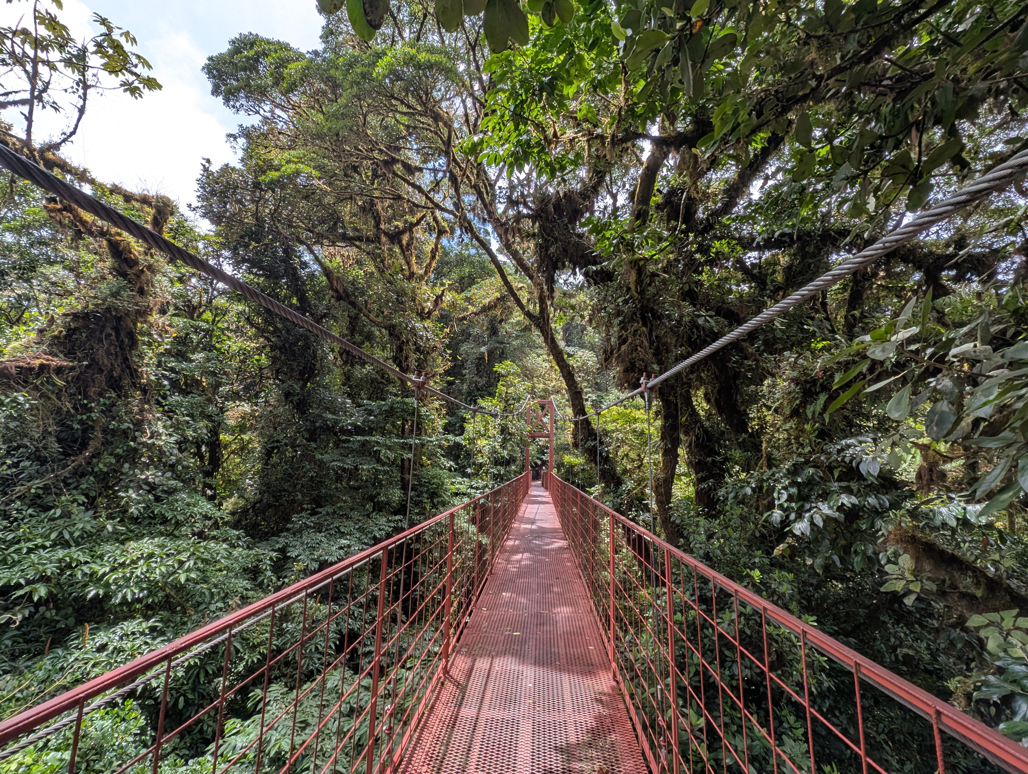 Monte Verde