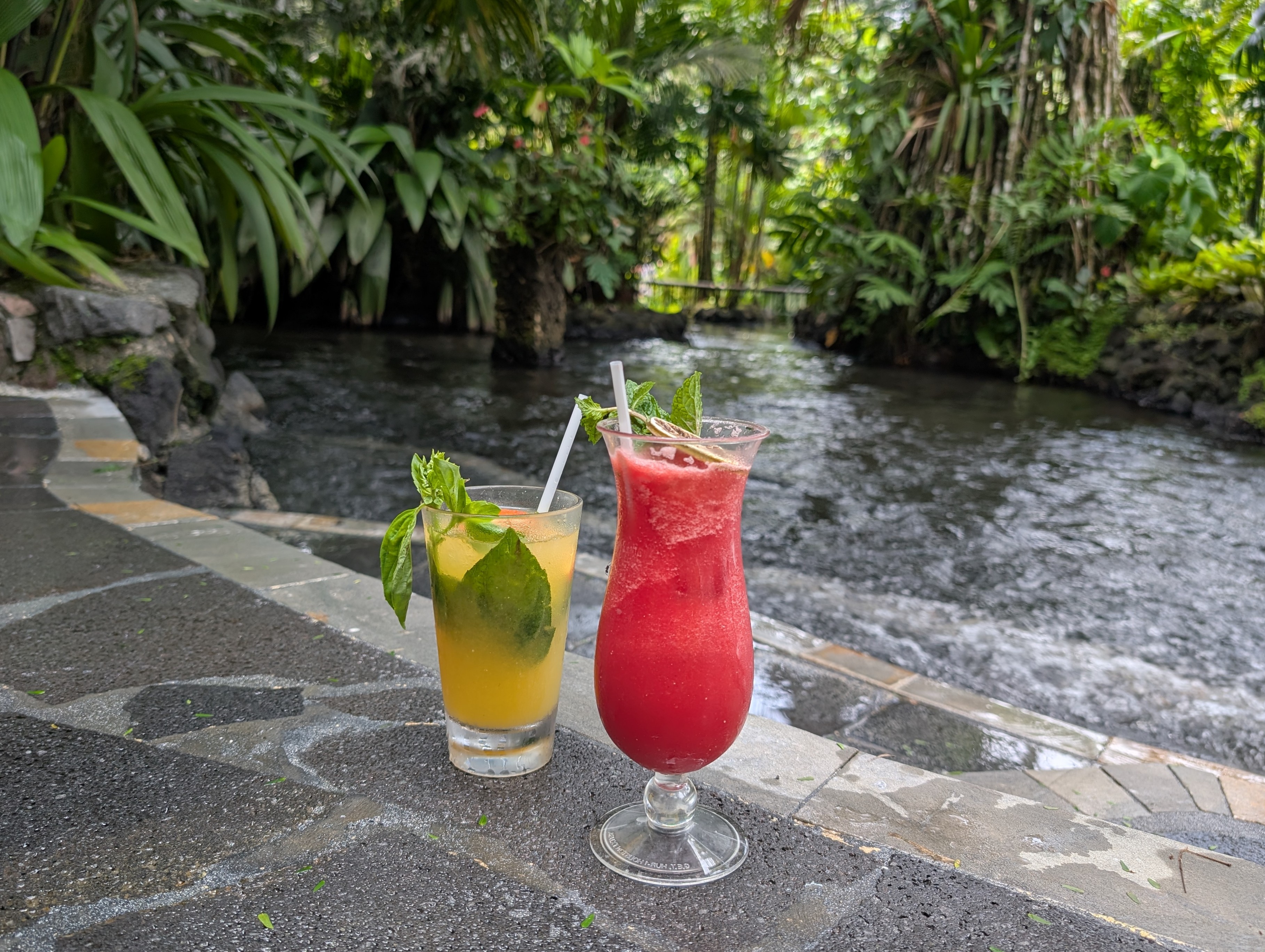Tabacon Hot Springs Bar
