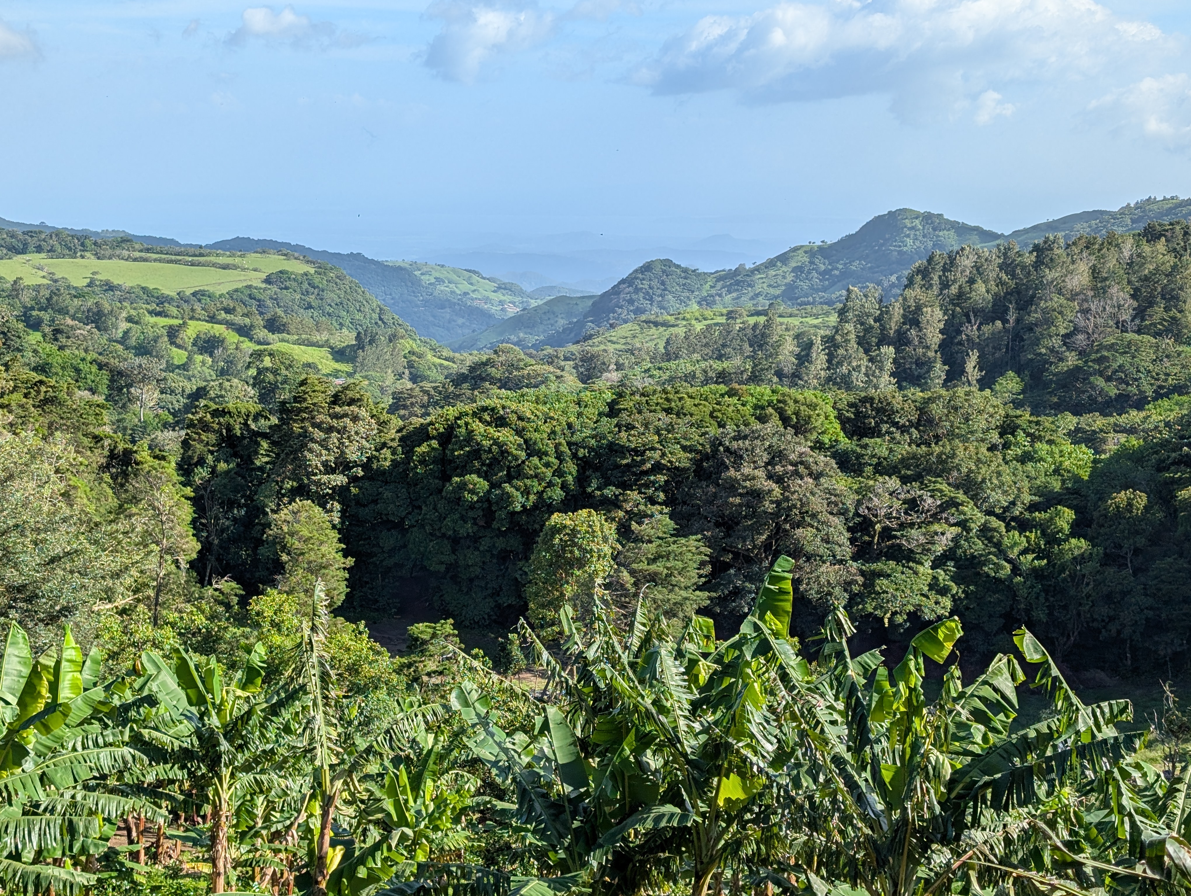 Monteverde Farming