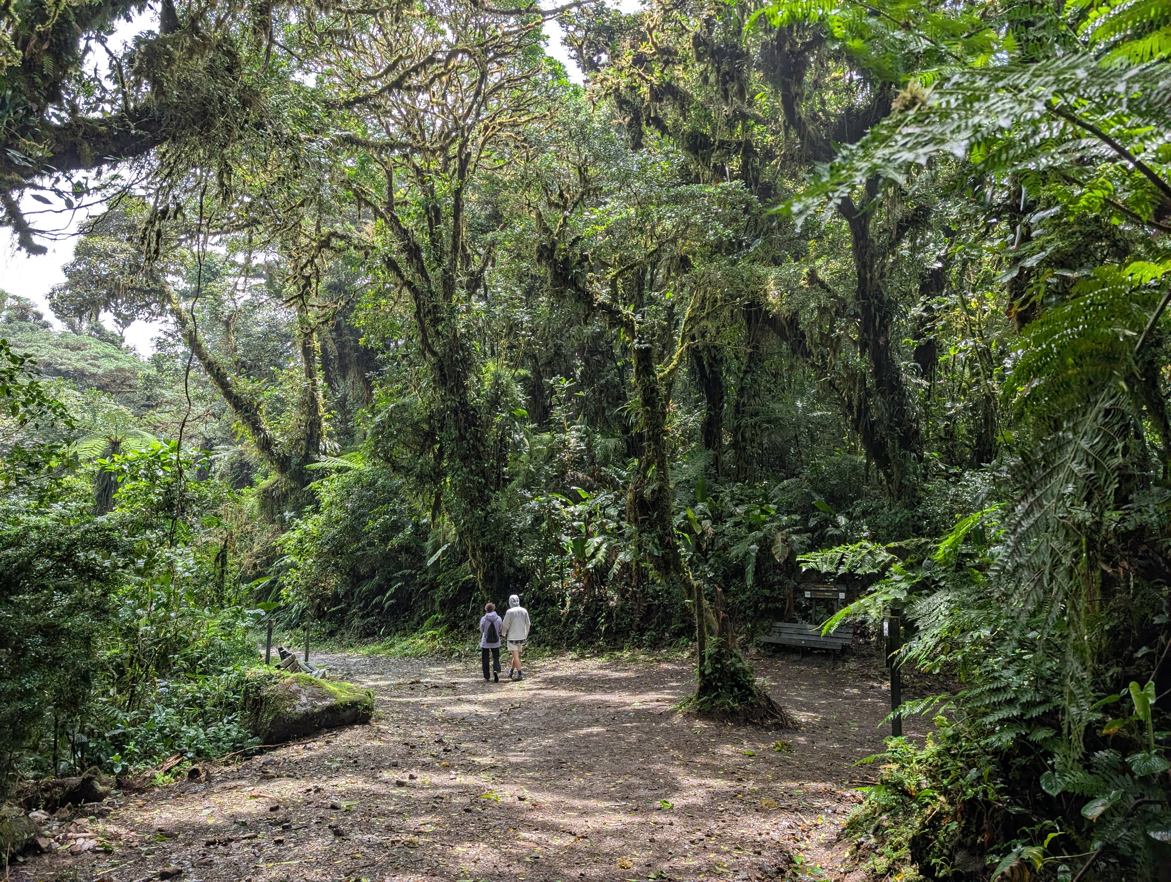 Monteverde Hiking
