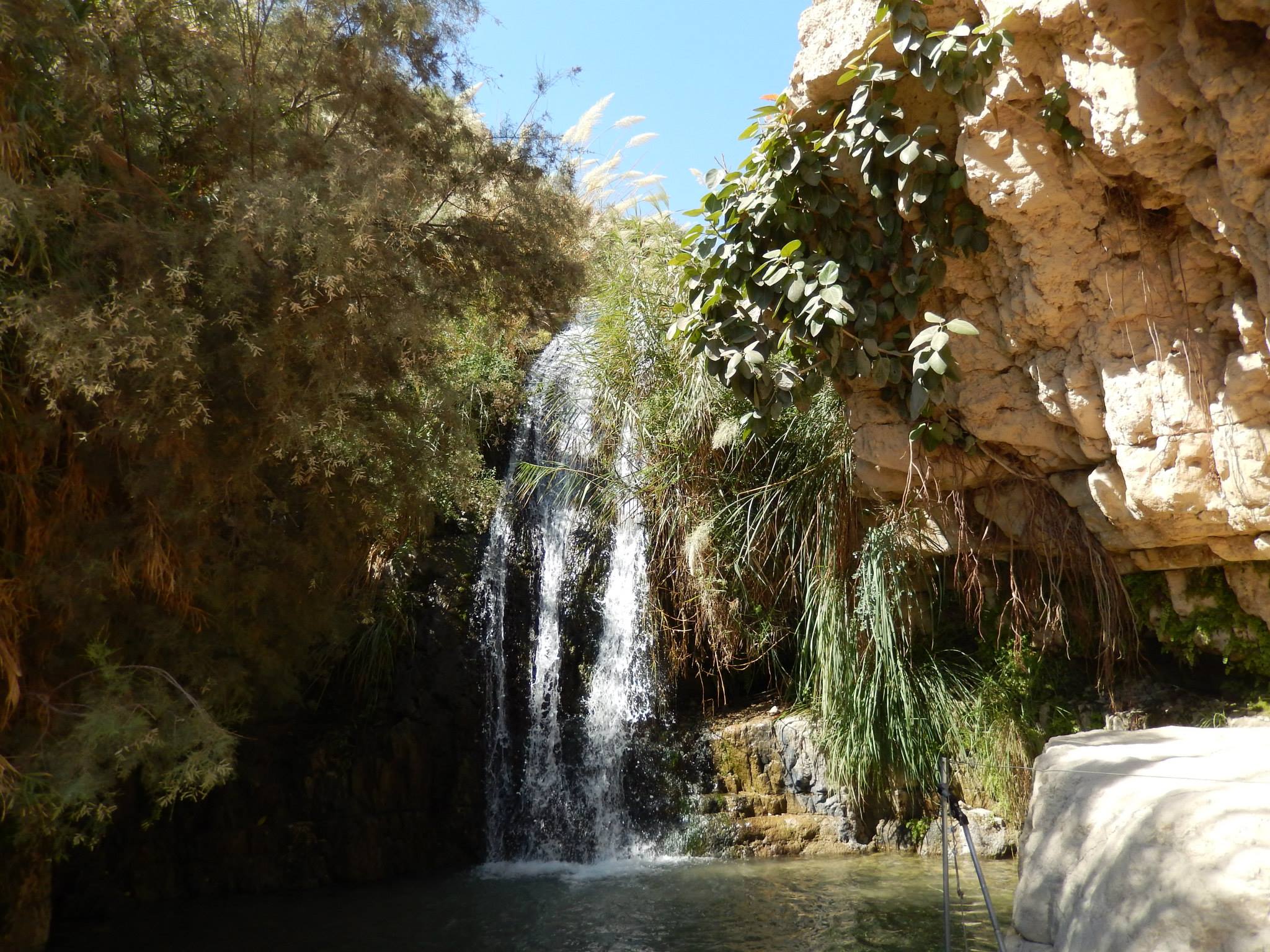 Ein Geidi