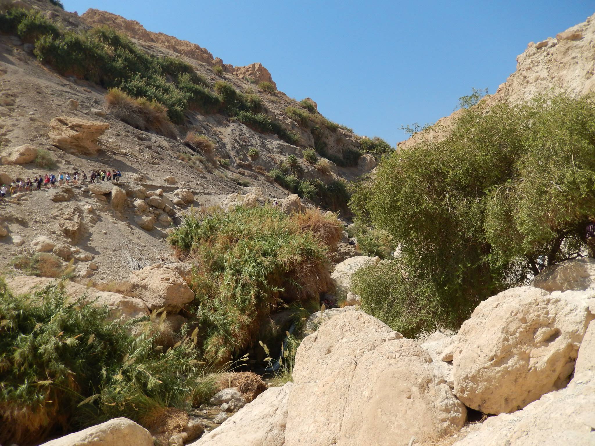 Ein Geidi