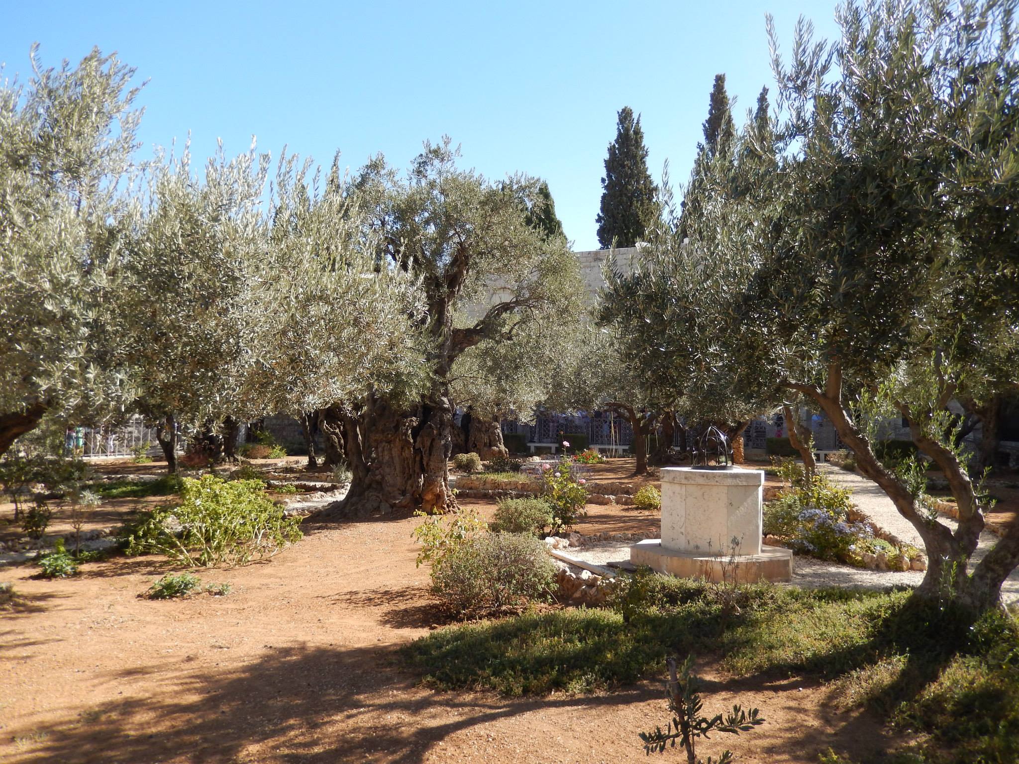 Garden of Gephsemania