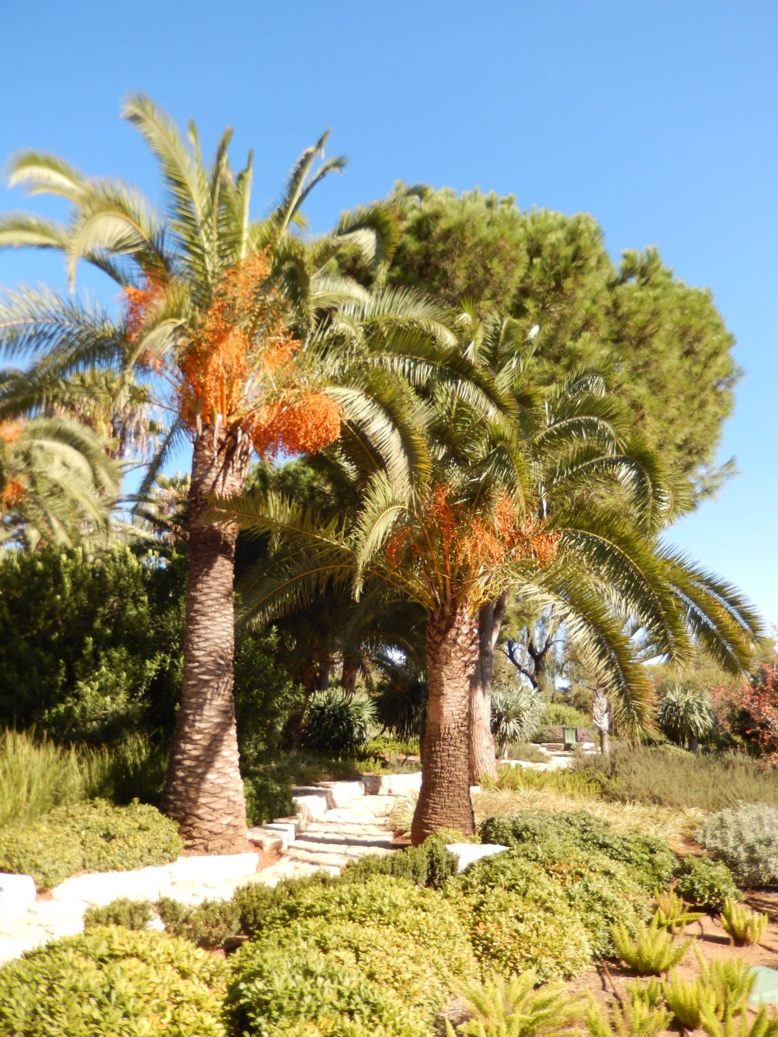 Rothchild Park 