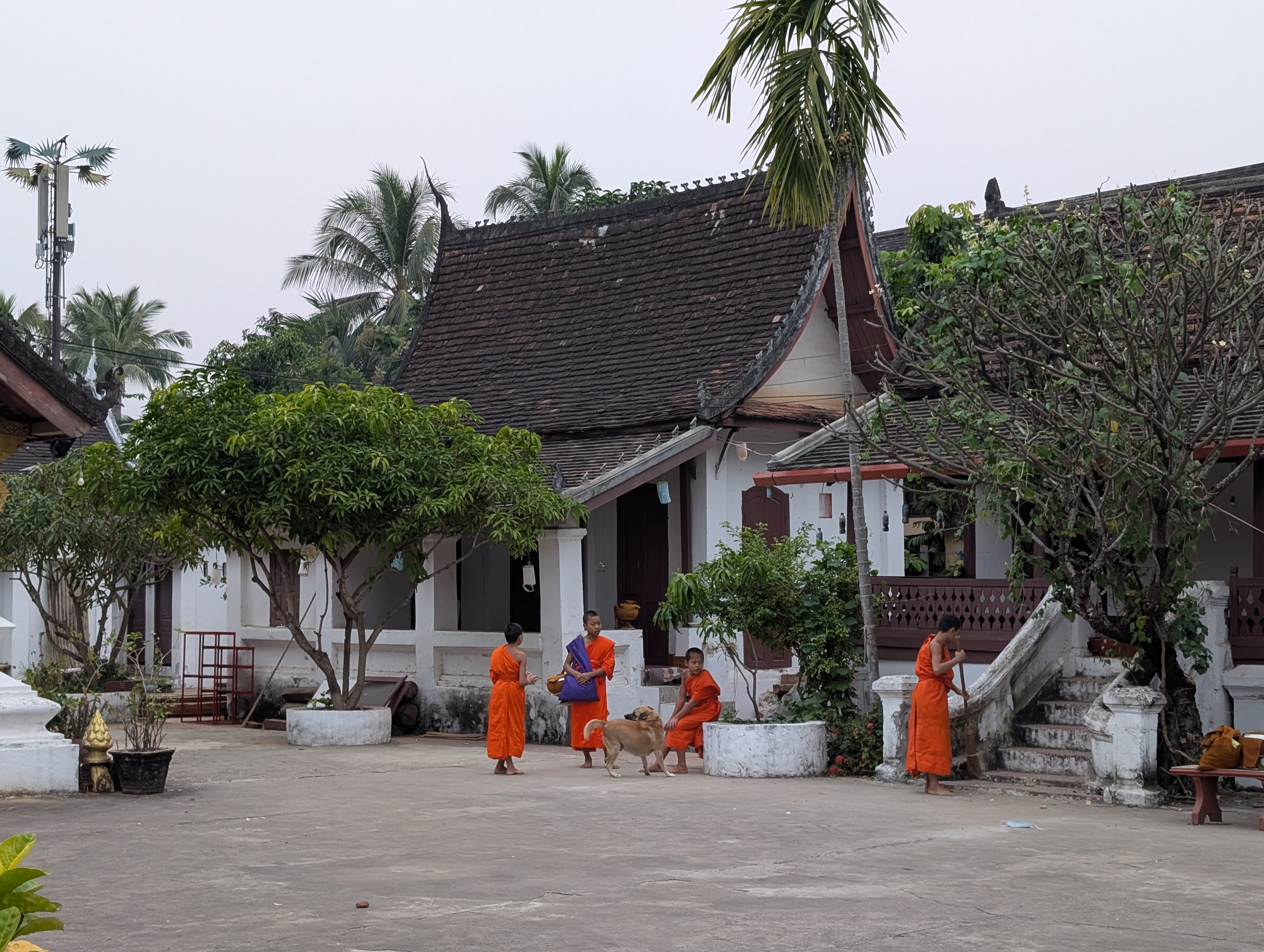 Children in Monastery