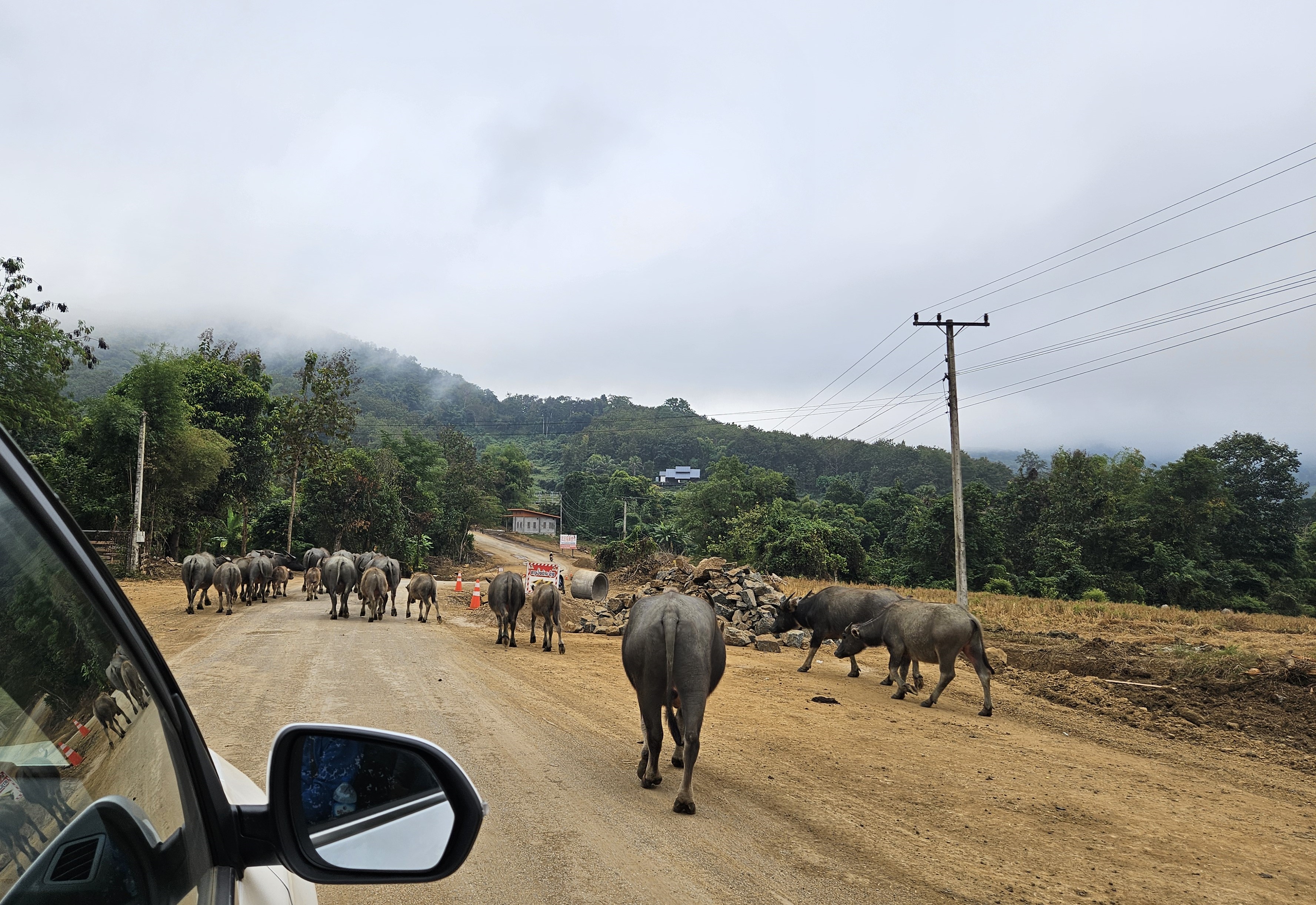 Village Life